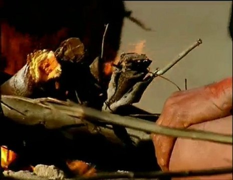 Marcher avec l'homme des cavernes part 6