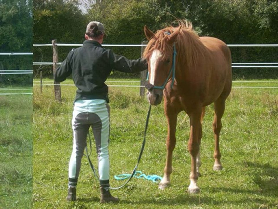 ulis du travail a pied au debourage....