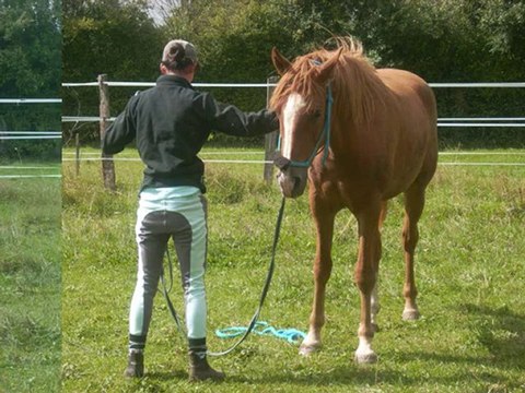 ulis du travail a pied au debourage....