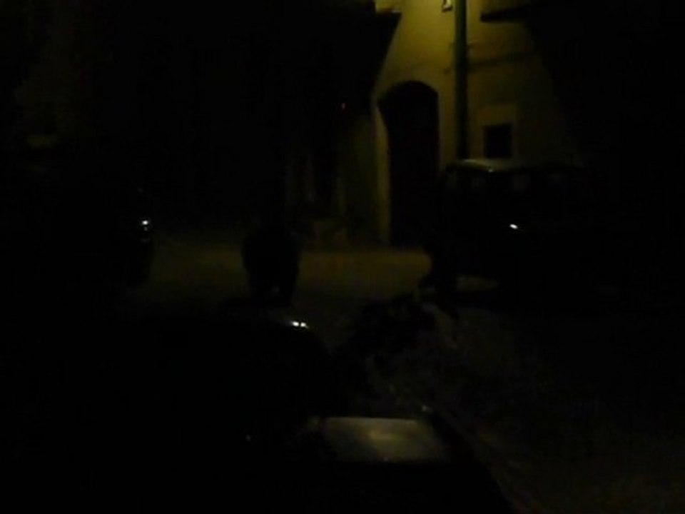orso a civitella_1