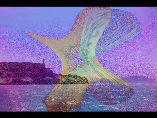 SAN FRANCISCO LA BAIE SUITE ©MARTINE ANCIAUX TELEVISION