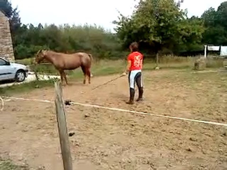 Raya, travail en liberté