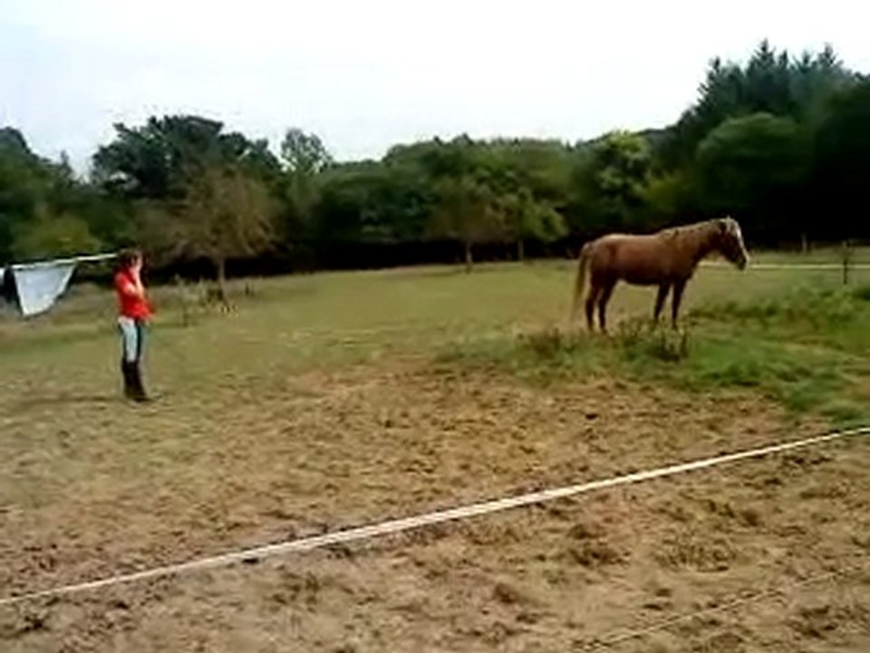 Raya, travail en liberté