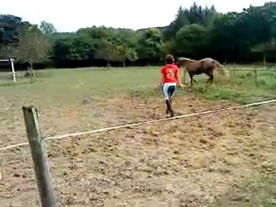 Raya, travail en liberté