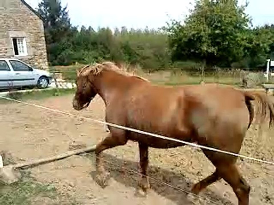 Raya, travail en liberté