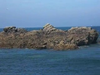 Ile aux oiseaux