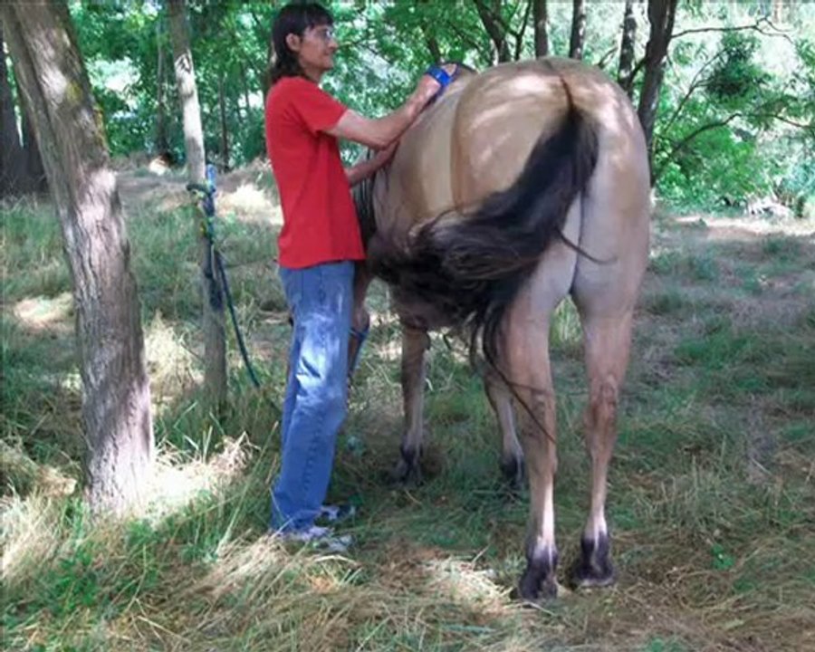 Atelier Cheval
