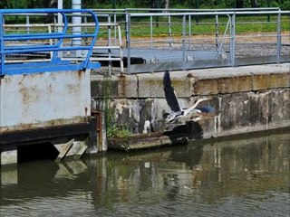 ascenseur à bateaux et écluse à Arques (62) HD
