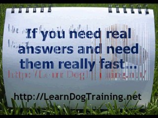 Stop Dogs from Biting