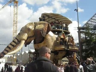 L'éléphant