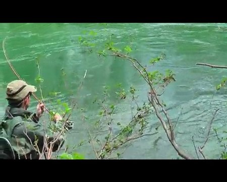 peche à la mouche - Truite Fario : Journey on secret river