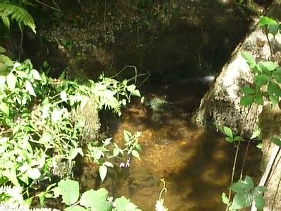 bruit de la rivière