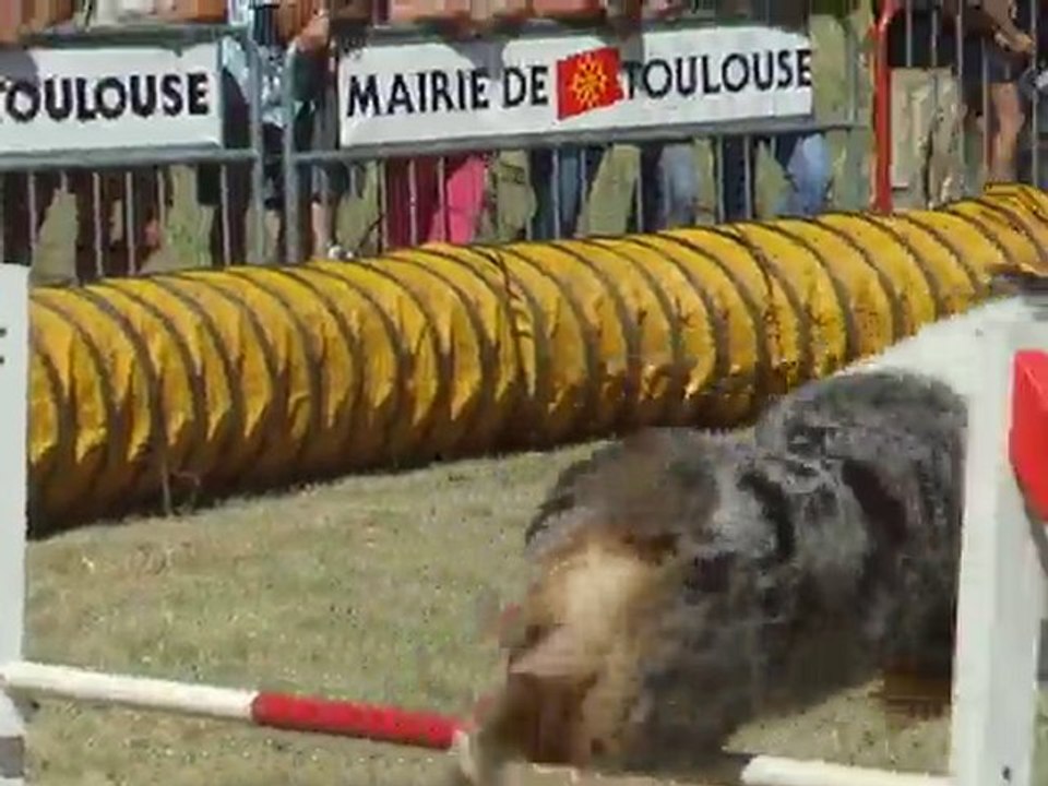 Baxter 3ème degré TVA 29 Aout 2010