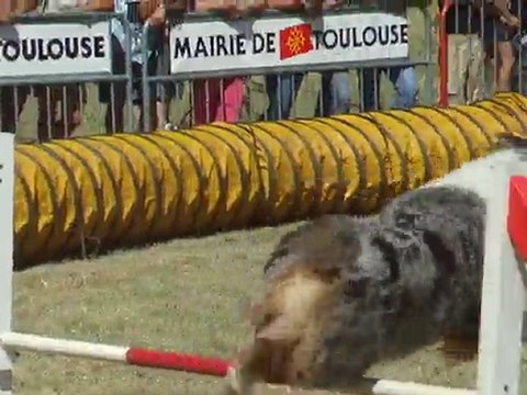 Baxter 3ème degré TVA 29 Aout 2010