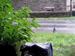 Qu'elle était belle ma Bretagne sous la pluie...