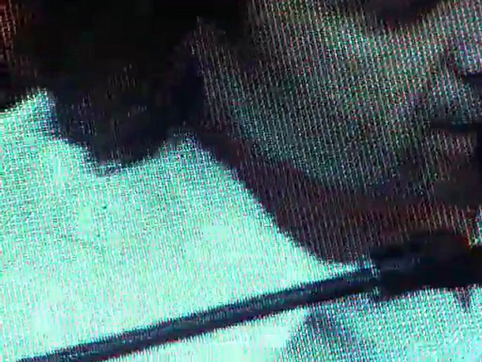 Stanislas Francofolies 24/07/2010 - Ma belle Eve