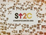 Stand Up To Cancer 2010 Promo