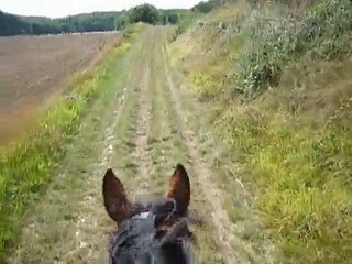 7 septembre 2010 - balade