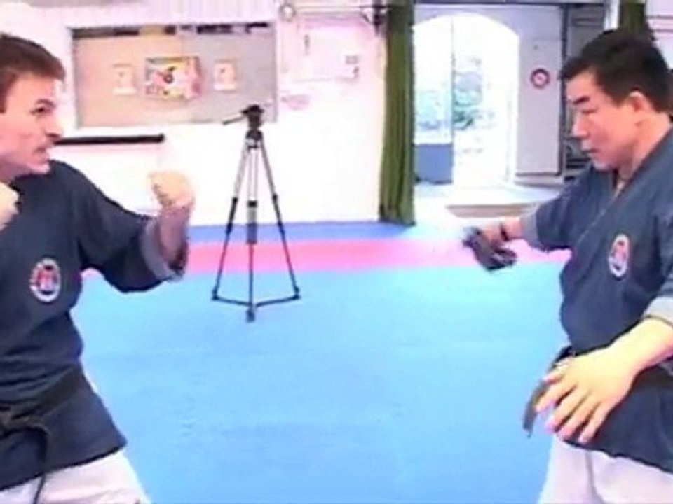 Techniques Hapkido - Me Lee Eun Jong