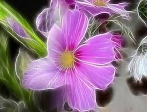 AŞIK MAHZUNİ ŞERİF - ZALİMİN ZULMÜ VARSA