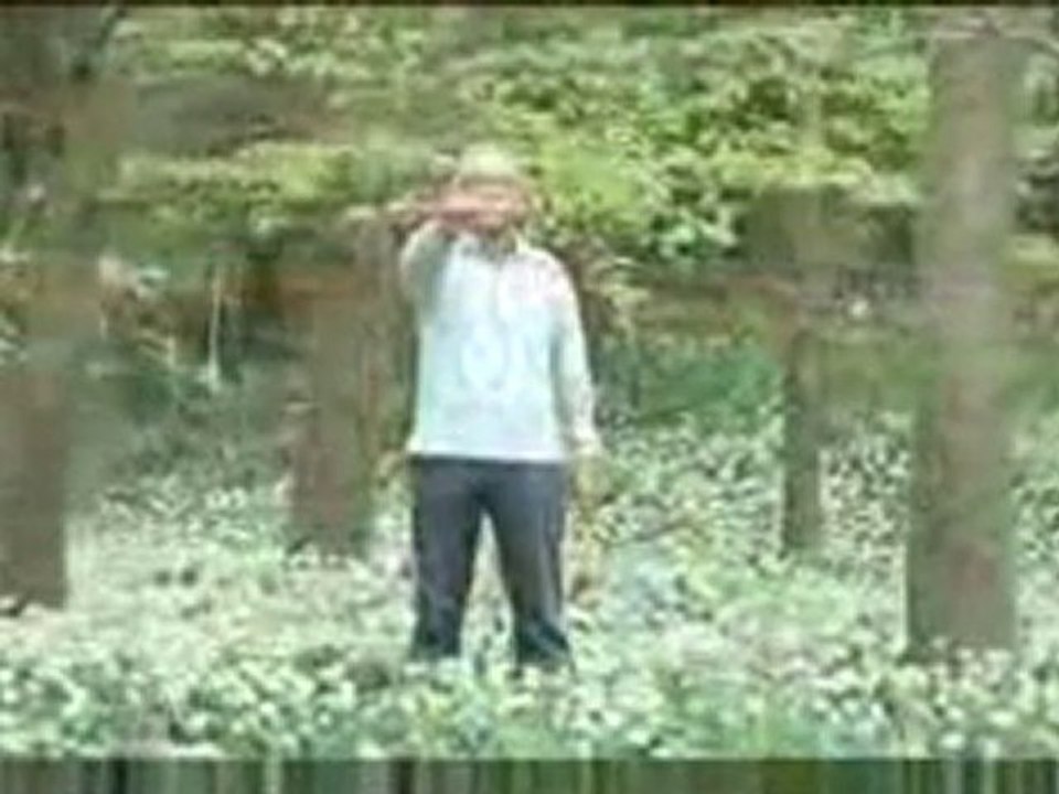 La forêt enchantée