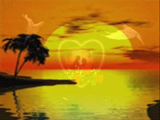 BILSEN ŞİMDİ NERDEYİM