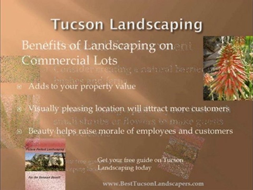 Let the Best Tucson Landscapers show you how it's done