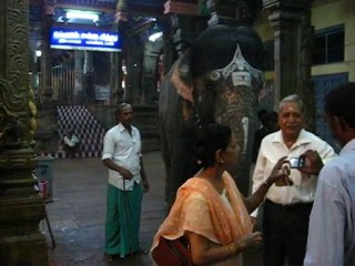 Avec les elephants, tout est permis