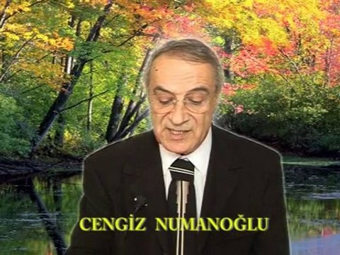 Sabır Sınavıdır Ömür Dediğin (şiir) - Cengiz Numanoğlu