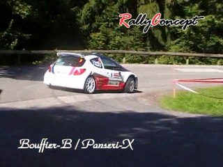 Rallye du Mont Blanc 2010