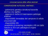 Conservazione delle cellule staminali parte 3