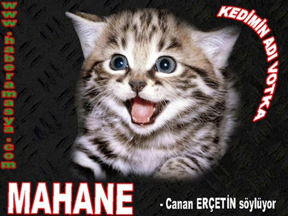 MAHANE- CANDAN ERÇETİN SÖYLÜYOR-www.haberamasya.com sunar