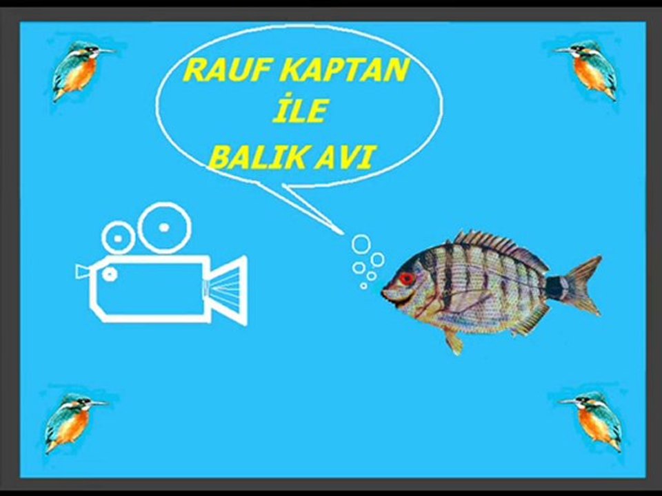EVCANDAN bir kac kare.