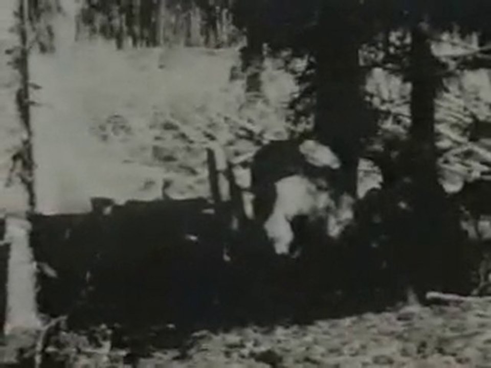 Забытая война. Часть 3-я.