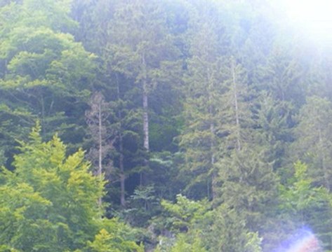 süleyman ağırman anonim kaval ezgileri çaykara uzungöl