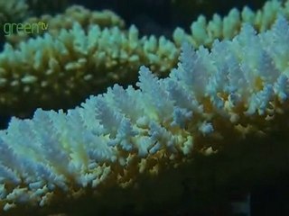 Drop into the Ocean - Part 2