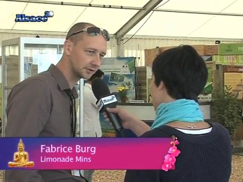 Le Journal de la Foire : les artisans alsaciens (Strasbourg)