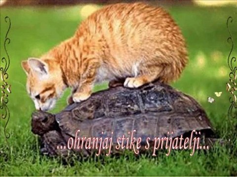 TEREZA KESOVIJA prijatelji stari gdje ste