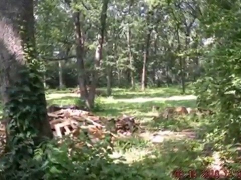 Homes for Sale - 29W644 Lake Street - ELGIN, IL 60120 - Cold