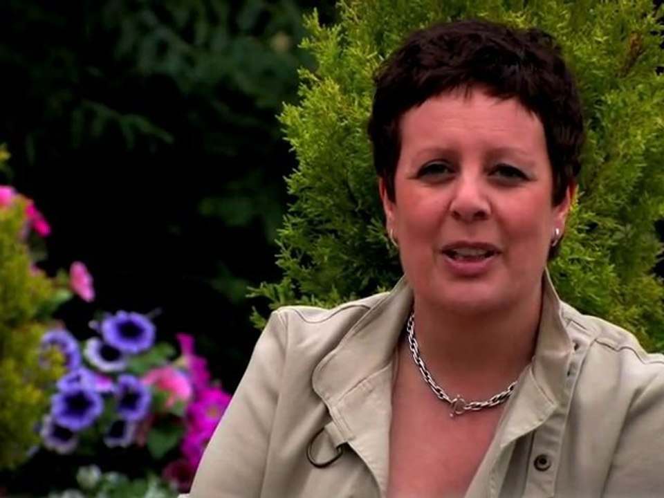 Dog Training Made Easy: Barking