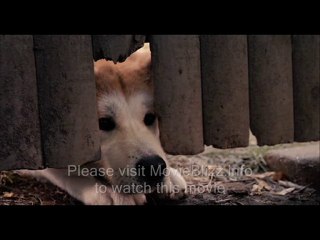 Hachiko A Dogâ€™s Story (2009) Part 1 of 17