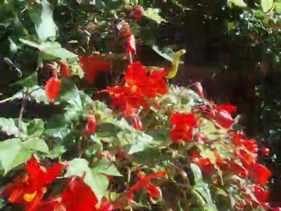 Virée fin Août 2010 via l'Italie,les Savoie et la Bourgogne.