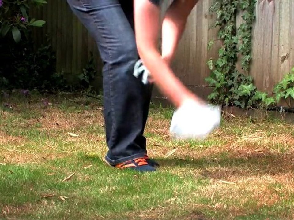 Dog Training Made Easy: Eating poo!