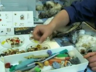 La malédiction du plastique part 2