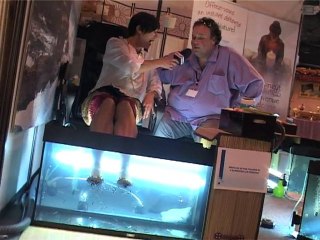 "Le journal de la Foire" par Aurélie Schöller / 08/09/2010