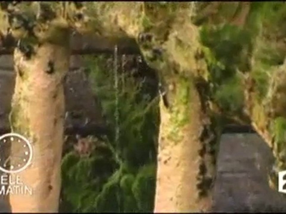 Logis de Puygaty Chambre d'hôtes en Charente Télématin FR2