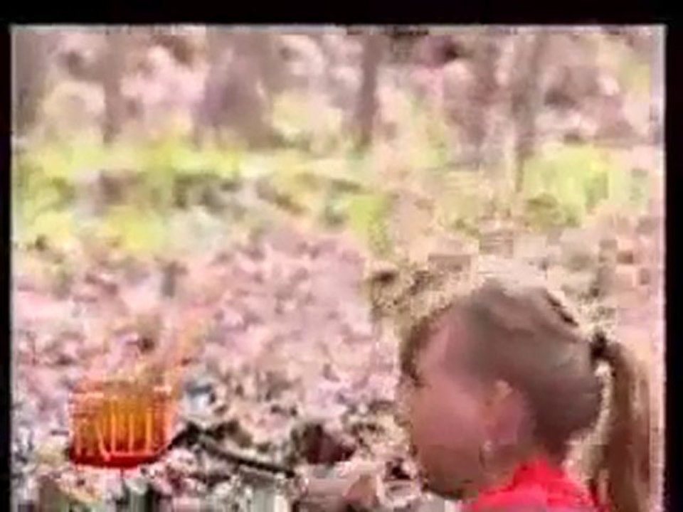 caméra caché gamelle dans l'eau