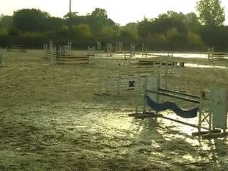 concours cesson amat 1m