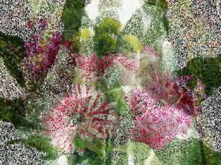 our love,Life is like a long path walk along untill the end.