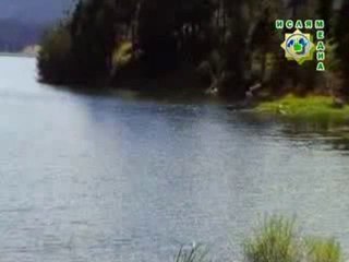 Нравственоморалните качества в Исляма - част 3